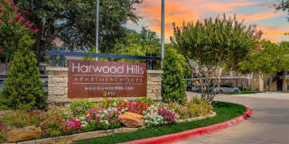 Harwood Hills Gallery 53