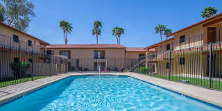 Whispering Willows Gallery 15