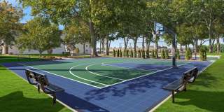 Albion on Lake Cook Gallery 24