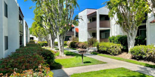 Kendallwood Apartments Gallery 18