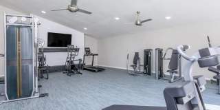 Agave on 83rd Gallery 15