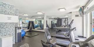 750 North Rush Gallery 31