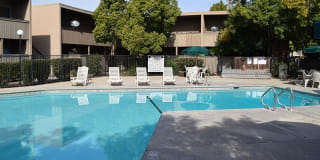 Amber Grove Gallery 2