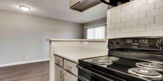 The Sophia Gallery 8