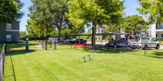 The Timbers at the Park Gallery 14