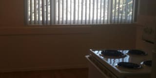 Mojave Breeze Gallery 6