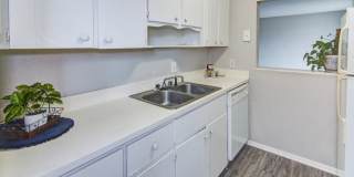 The Onyx at 3211 Gallery 30