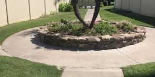 Palm Gardens Gallery 4