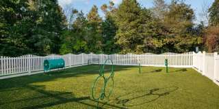 Abbotts Creek Gallery 46