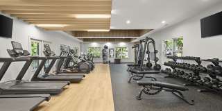 Decatur Highlands Gallery 25