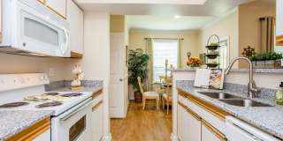 Stone Mist Gallery 1