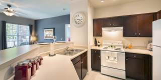 The Promenade at Beaver Creek Gallery 1