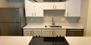 Falcon Run Gallery 1