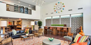 The Curve at Melrose Gallery 24