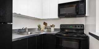 1000 North Lasalle Gallery 4