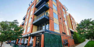 Prospect on Central Gallery 5