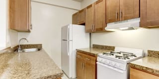 The Roberta Gallery 2