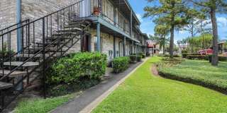 Pine Terrace Gallery 47