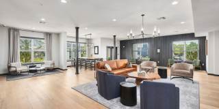 The Percy Gallery 26