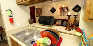 Alexis Park Gallery 18