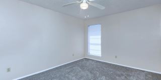 Wood Trail Gallery 5