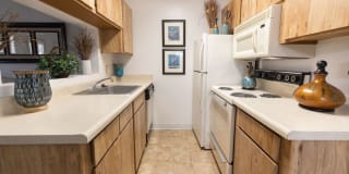 Crest Oasis Gallery 15