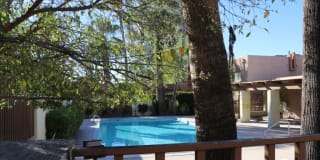 Palm Garden Gallery 1