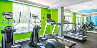 Vivant Woodholme Gallery 10