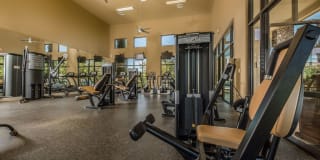 Crest Round Rock Gallery 19