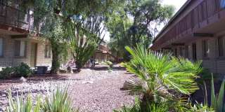 Mountain Plaza Gallery 32