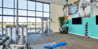 The Curve at Melrose Gallery 21