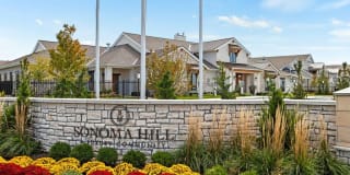 Sonoma Hill Gallery 4