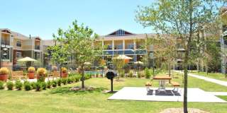 Mariposa at Jason Avenue - Senior Housing Gallery 10