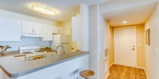 Coastline Cove Gallery 42