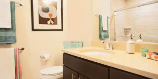 Ovation 309 Gallery 20