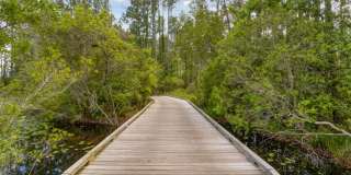 Exchange at Wildlight Gallery 9