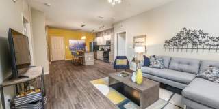 The Nolen Luxury Apartments Gallery 1