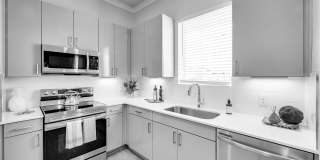 Luxe of Denton Luxe of Denton Gallery 1