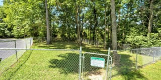 Cross Creek Gallery 16