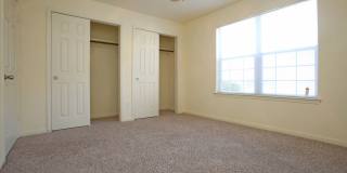 The Vintage Gallery 7