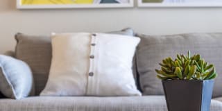 Village Meadow Gallery 4