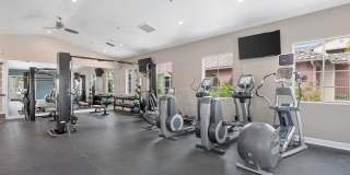 Vanoni Ranch Gallery 10