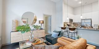 Standard in the Heights Gallery 1