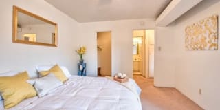 Desert Creek Gallery 21
