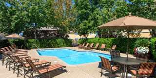 Heather Ridge Gallery 6