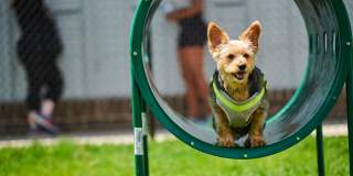 Springs at Lake Cook Crossing Gallery 8