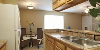 Autumn Trace Gallery 1