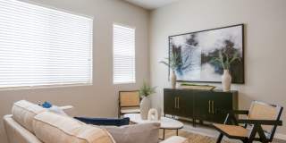 The Carson Gallery 10