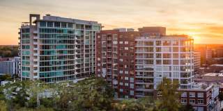 The Scholar The Scholar Gallery 12