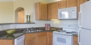 Oxford at Sonterra Gallery 8